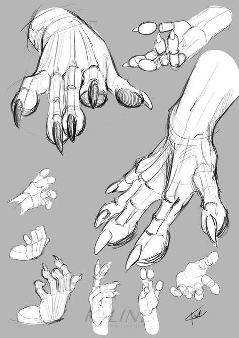 Human Hand Anatomy Drawing, Hand Wraps Drawing, How To Draw Fingernails, Claw Art Reference, How To Draw Talons, Dragon Hands Reference, Dragon Claws Drawing Reference, How To Draw Claws, Clawed Hands Reference