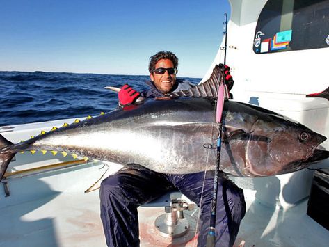 Fishing for Tuna on Topwater Lures | FISHTRACK.COM Bluefin Tuna, Sailing Cruises, Topwater Lures, Pembrokeshire Coast, Funny Fishing Shirts, Deep Sea Fishing, Fishing Humor, Saltwater Fishing, Women Humor