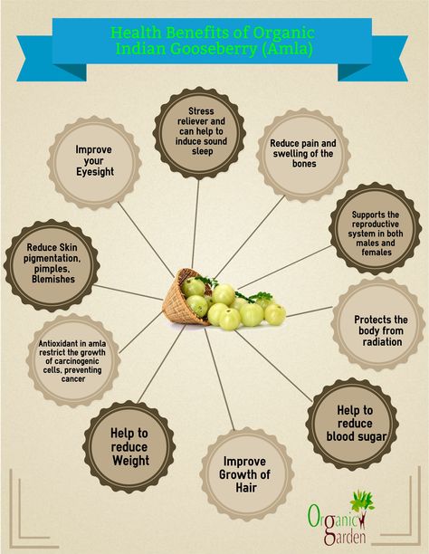 Health Benefits of Organic Amla http://organicgarden.co.in/Fruits/Indian-Gooseberry-Awla.html?pid=585&subCatid=67 Amla Juice Benefits, Gooseberry Benefits, Amla Benefits, Amla Juice, Indian Gooseberry, Ayurvedic Healing, Eat Better, Reproductive System, Health Knowledge