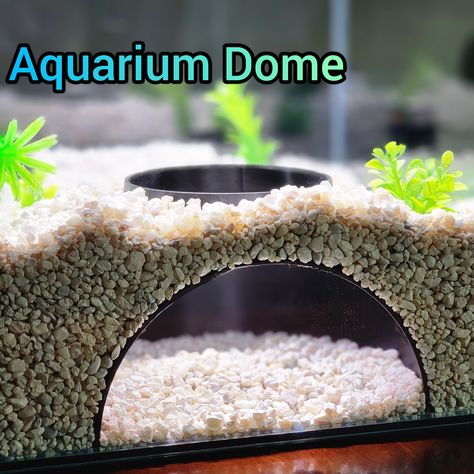 Cool Fish Tank Decorations, Axolotl Tank, Fish Tank Gravel, Fish Tank Themes, Fish Tank Terrarium, Plants In Jars, Diy Fish Tank, Cool Fish Tanks, Fish Tank Design