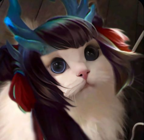 𝑴𝒍𝒃𝒃 𝒄𝒂𝒕 Mlbb Characters, Kagura Mlbb, Legend Cat, Cats Pfp, Cat Mobile, Animated Movies For Kids, Alucard Mobile Legends, Funny Cat Wallpaper, Legend Wallpaper