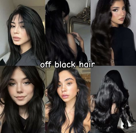 Different Black Hair Colors Shades, Soft Cool Black Hair, Black Hair Dye Colors, Black Hair For Olive Skin Tone, Different Tones Of Black Hair, Different Types Of Black Hair, Thick Scalp Hair, Black Hair Undertones, From Brown To Black Hair