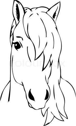 Horse Face Drawing, Horse Stencil, Colour Illustration, Draw Cartoon, Free Horses, Horse Coloring Pages, Face Portrait, Horse Silhouette, Horse Face