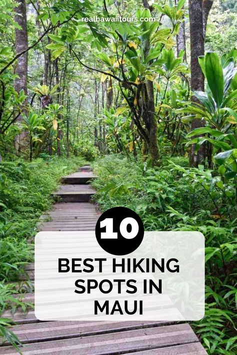 Discover the 10 best hikes in Maui, offering stunning views of lush rainforests, waterfalls, and volcanic landscapes. Whether you’re seeking an easy coastal walk or a challenging mountain trail, Maui has something for every level of hiker. Click here to explore the top trails and start planning your adventure! Hiking In Maui, Maui Hikes, Hikes In Maui, Maui Travel Guide, Maui Itinerary, Waterfall Trail, Maui Travel, Mountain Trail, Hiking Spots