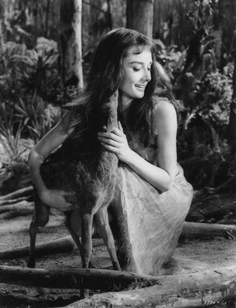 26 Enchanting and Candid Photographs of Audrey Hepburn With Her Favorite Pet Fawn Named Pippin a.k.a Ip ~ Vintage Everyday Audrey Hepburn Outfit, Pet Deer, Audrey Hepburn Born, Aubrey Hepburn, Audrey Hepburn Photos, Audrey Hepburn Style, Hepburn Style, Marlene Dietrich, Actrices Hollywood