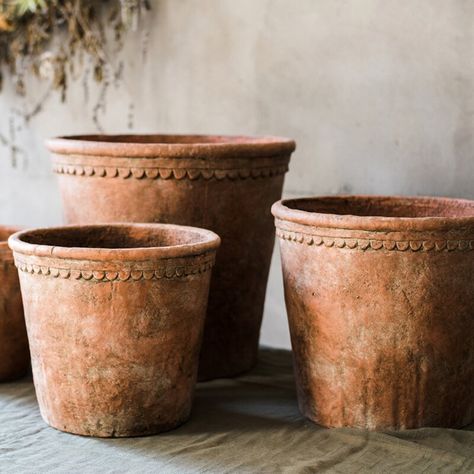 Bungalow Rose Keilson Ceramic Pot Planter & Reviews | Wayfair Large Outdoor Planters, Concrete Planter, Concrete Color, Terracotta Planter, Large Planters, Concrete Planters, From Santa, Outdoor Planters, Terracotta Pots