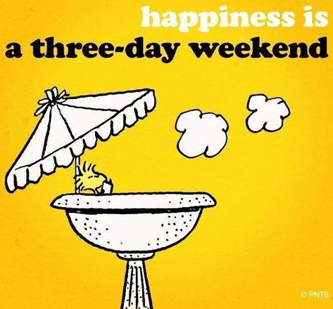 Happiness Is A 3 Day Weekend Pictures, Photos, and Images for Facebook, Tumblr, Pinterest, and Twitter Long Weekend Quotes, Three Day Weekend, Weekend Quotes, Snoopy Images, Weekend Humor, Snoopy Quotes, Snoopy Love, Charlie Brown And Snoopy, Happy Labor Day