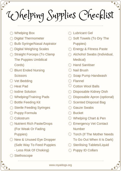 Breeding Your Dog? Get Your Whelping Supplies Organised With This Checklist – Royal Dogs And Puppies Dog Breeding Kennels, Dog Whelping Box, Dog Breeding Business, Whelping Puppies, Dog Birth, Petit Basset Griffon Vendeen, Puppy Litter, Puppy Nursery, Whelping Box