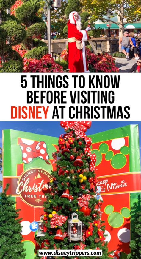 5 Things To Know Before Visiting Disney At Christmas - Disney Trippers Disney At Christmas, Disney Christmas Vacation, Travel Restaurant, Christmas Tips, Going To Disney, Travel Flight, Disney World Christmas, Flight Travel, Very Merry Christmas Party