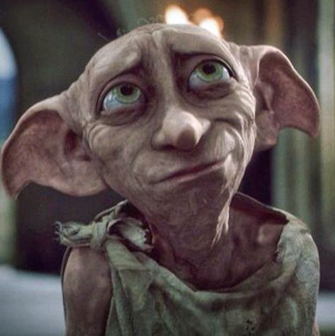 Harry Potter Elf, Dobby The Elf, Hery Potter, Dobby Harry, Born Leader, Harry Potter Character, Free Dobby, Dobby Harry Potter, Harry Potter Icons