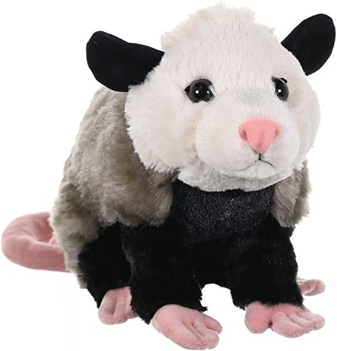 Opossum Plush, Thunder Buddy, Toy Gifts, Teddy Bear Stuffed Animal, Kawaii Plushies, Cute Stuffed Animals, Zoo Animals, Stuffed Animal, Plush Toy