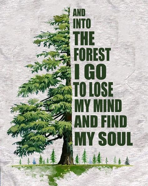 And into the forest I go to lose my mind & find my soul. Fog Painting, Warrior Goddess Training, John Muir Quotes, Wanderlust Quotes, Forest Bathing, John Muir, Big Art, Nature Quotes, Lose My Mind