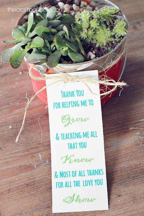 A low-maintenance succulent planter is the perfect, unexpected gift for teacher. | teacher’s gift Teacher Appreciation Poems, Easy Teacher Gifts, Teacher Treats, Teachers Diy, Presents For Teachers, Diy Teacher Gifts, School Teacher Gifts, Teacher Thank You, Teacher Appreciation Week