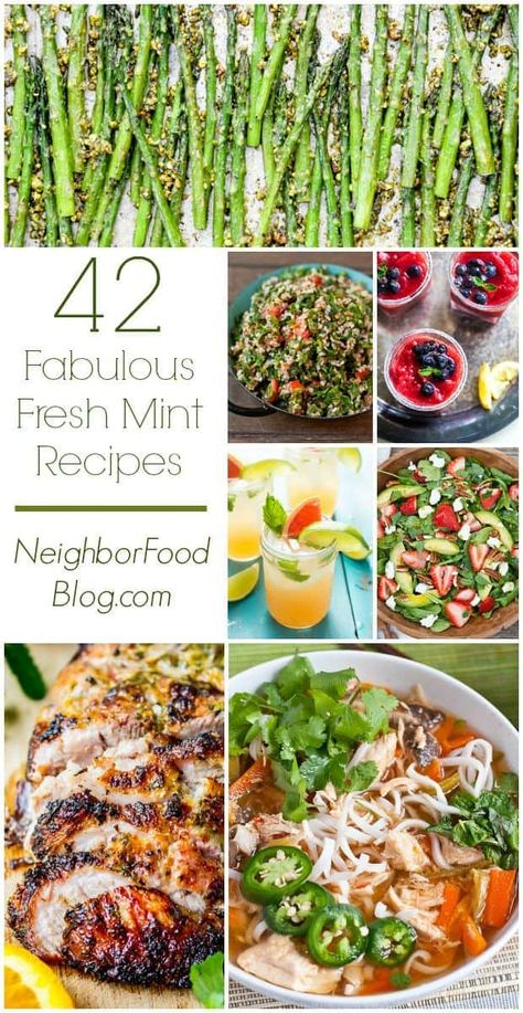 Mint Dinner Recipes, Recipe With Mint Leaves, Recipes That Use Mint Leaves, Mint Food Recipes, Cooking With Mint Leaves, Fresh Spearmint Recipes, Recipes With Spearmint Leaves, Recipes Using Fresh Mint Leaves, Recipes With Mint Leaves Dinner