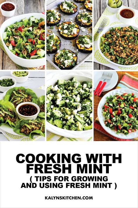 Pinterest image for Cooking with Fresh Mint, showing 6 photos of recipes with mint. Meditranian Recipes, Spearmint Recipes, Using Fresh Mint, Mint Recipes Dessert, Mint Recipes Fresh, Ideas For Cooking, Fresh Herb Recipes, Cooking With Fresh Herbs, Mint Herb