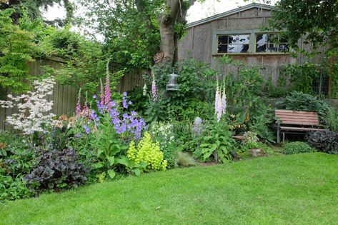 Beach Garden Design, Pnw Garden, Pacific Northwest Garden, Native Plant Landscape, Northwest Garden, Northwest Landscaping, Shade Garden Design, Native Plant Gardening, Backyard Inspo