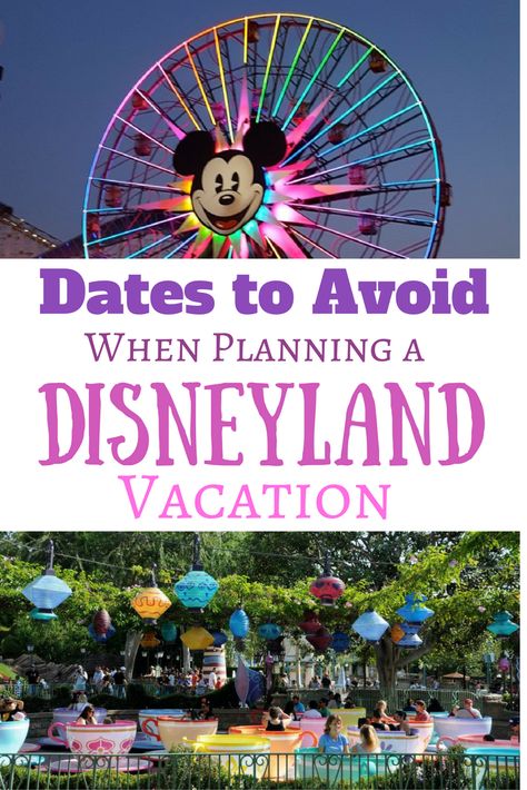 Disneyland And California Adventure In One Day, Disney In California, Plan Disneyland Trip, Disneyland Trip Planning 2024, Disneyland In March, Disneyland In January, Disneyland Hacks, Planning Vacation, Disneyland Trip Planning