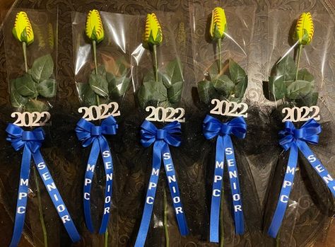 Softball Roses, Volleyball Locker, High School Softball, Volleyball Senior Night, Senior Sash, Senior Softball, Senior Day, Senior Football, Softball Season