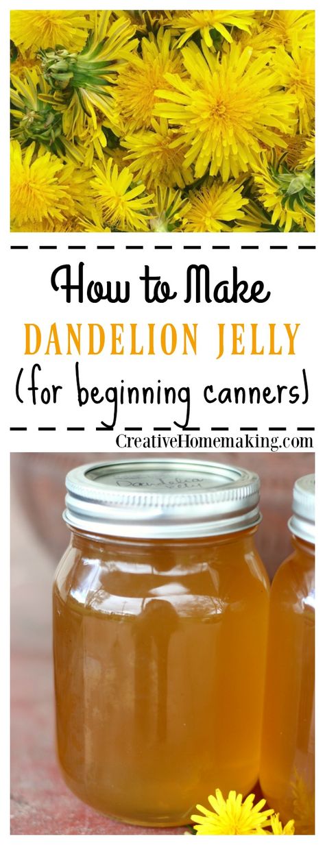 Dandelion Jelly, Dandelion Recipes, Easy Recipe, Jelly, Dandelion, Jam, Honey, Canning, Yellow