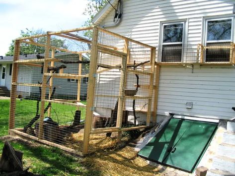 30 Free DIY Catio Plans - DIY Outdoor Cat Enclosure Outside Cat Enclosure, Catio Plans, Ikea Cat, Diy Cat Enclosure, Outdoor Cat Shelter, Cat Patio, Outdoor Cat Enclosure, Cat Cages, Outdoor Cat