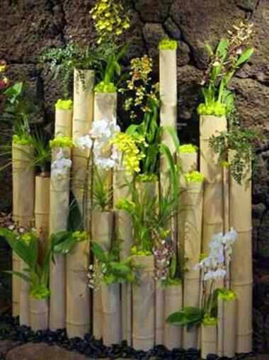 Bamboo decoration Apartment Halloween, Apartment Privacy, Taman Air, Tanaman Indoor, Bamboo Planter, Jardim Diy, Gubahan Bunga, Bamboo Decor, Apartment Small