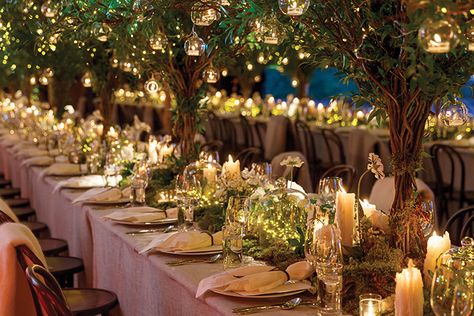 wedding trends Irish Forest, Bohemian Table Settings, Creative Wedding Centerpieces, Ashford Castle, Bohemian Table, Tree Centerpieces, Ireland Wedding, Beautiful Table Settings, Gala Dinner