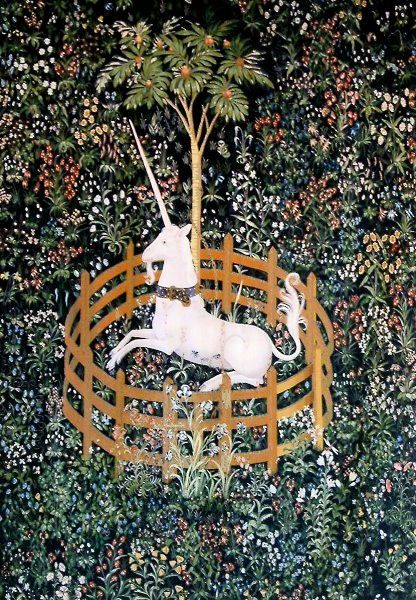 Unicorn in Captivity tapestry, depicting a tame unicorn resting under a pomegranate tree surrounded by flowers. Woven in the Middle Ages from wool, silk, silver and gold. Historic Scotland commissioned a set of seven hand-made tapestries for Stirling Castle, a recreation of The Hunt of the Unicorn tapestries, as part of a project to furnish the castle as it was in the 16th century. Scottish Unicorn, Unicorn Tapestry, Unicorn Tapestries, Unicorn Painting, Stirling Castle, Dark Castle, Medieval Tapestry, Last Unicorn, Unicorn Illustration