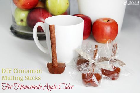 Top Farmhouse Style Cinnamon Stick Crafts that are perfect for the Holiday Season From Christmas Ornaments to Garland and beyond! The aroma is delightful! Sticks Crafts, Diy Cinnamon, Homemade Apple Cider, Hot Apple Cider, Individual Servings, Homemade Apple, Christmas Things, Apple Cinnamon, Crafts Beautiful