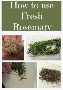 How to use Fresh Rosemary Fresh Rosemary Uses Recipe, How To Use Fresh Rosemary, Diy Mixes, Homemade Stuff, Clean Life, Healthy Meals To Cook, Herb Pots, Baking Project, Spices And Herbs