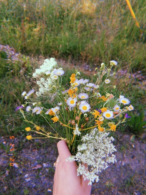 On The Side, The Road, Road, Flowers