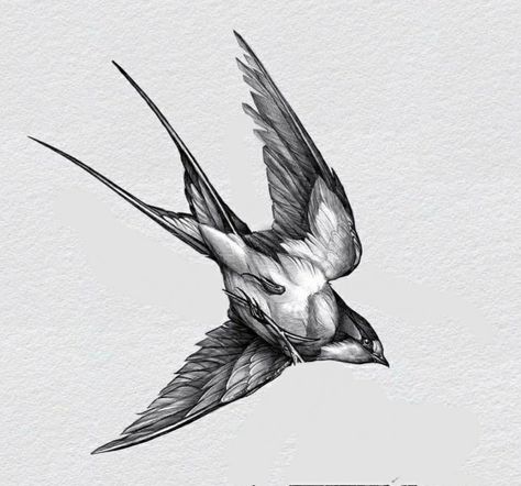 Realism Swallow Tattoo, Sparrow Tattoo Design, Swallow Tattoo Design, Micro Realism, Tattoo Font For Men, Hand Tattoo Designs, Sparrow Tattoo, Surreal Tattoo, Bull Tattoos