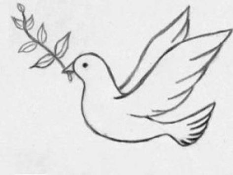 Dove Bird Drawings, Dove Pencil Drawing, Doves Flying Drawing, How To Draw Dove, Dove Painting Easy, How To Draw A Dove Step By Step, Easy Dove Drawing, Simple Dove Drawing, How To Draw A Dove