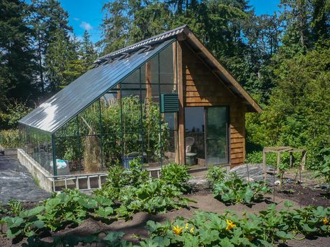 Design Your Own Greenhouse with BC Greenhouses Attached Greenhouse, Farmhouse Backyard, Lean To Greenhouse, Indoor Greenhouse, Small Patio Garden, Diy Shed Plans, Apartment Patio, Diy Greenhouse, Patio Plants