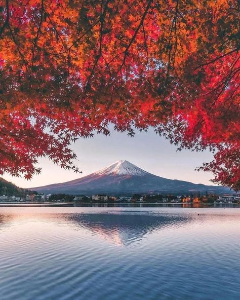 Mount Fuji, Japan 🇯🇵 Mount Fuji Japan, Best Place To Visit, Fuji Japan, Monte Fuji, Japan Travel Guide, Japan Aesthetic, Mt Fuji, Red Leaves, Mount Fuji