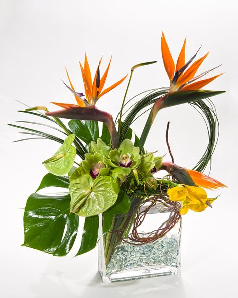 Event Portfolio, Tropical Centerpieces, Event Flowers, Deco Floral, Bird Of Paradise, Design Gallery, Birds Of Paradise, Floral Flowers, Floral Art