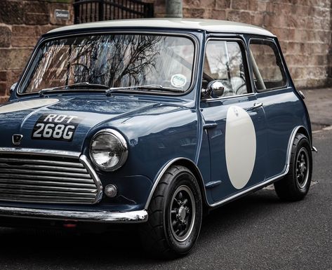 1969 Austin Mini for Sale | CCFS Mini Cars For Sale, Mini Cafe, Austin Seven, Mini Cooper Classic, Mini Ideas, British Motors, Austin Mini, Mini Coopers, Mini Classic