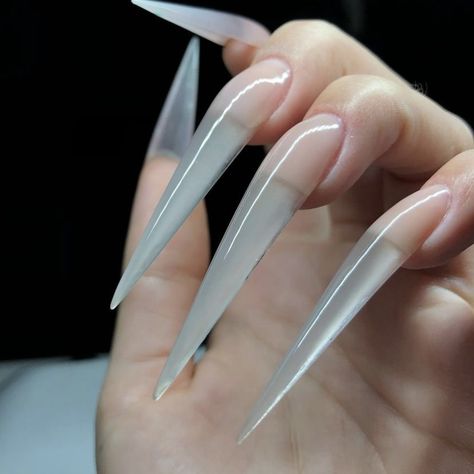 Long Stiletto Nails, Sharp Nails, Long Stiletto, Stiletto Nail Art, Stiletto Nails Designs, Coffin Shape, Nail Tip, Nail Products, Jelly Nails