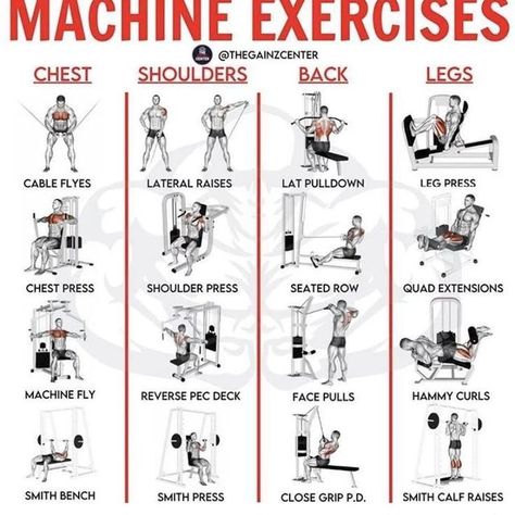 Starter Workout Plan, Back Workout Machine, Circuit Workout Gym, Weight Machine Workout, Mexican Illustration, Starter Workout, Gym Weights Workout, Appetizer Decoration, Gym Workouts Machines