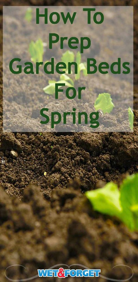 As the temperature slowly begins to rise, it's time to prep your gardens for the spring! Check out our quick tips and tricks for preparing your garden beds for this spring season. Garden Prepping, Vegetable Garden Raised Beds, Spring Plants, Creative Gardening, Garden Landscape Design, Garden Pests, Garden Bed, Garden Soil, Veggie Garden