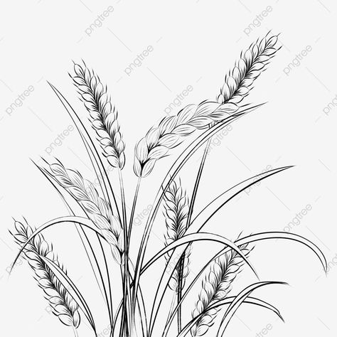 Wheat Drawing, Drawing Rain, Pasta Food Recipes, Rain Drawing, Wheat Tattoo, Recipes Chili, Ear Seeds, Wing Drawing, Cake Pizza