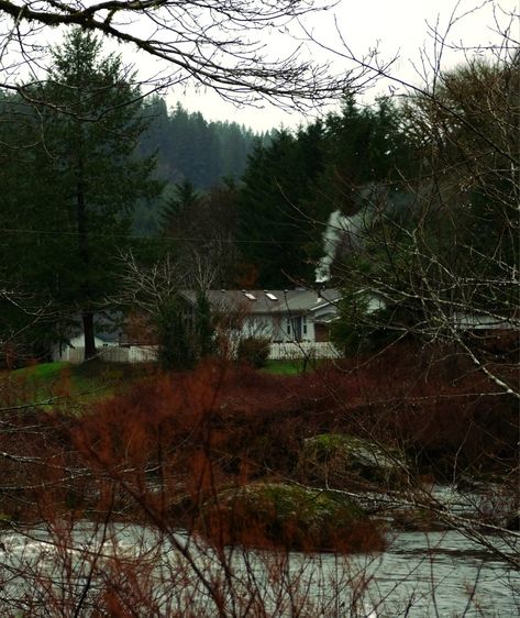 Cozy Rain, Oregon Aesthetic, Pnw Aesthetic, Oregon Forest, Moody Vibes, Dark Forest Aesthetic, Pacific Northwest Travel, Homestead Life, Woods Forest