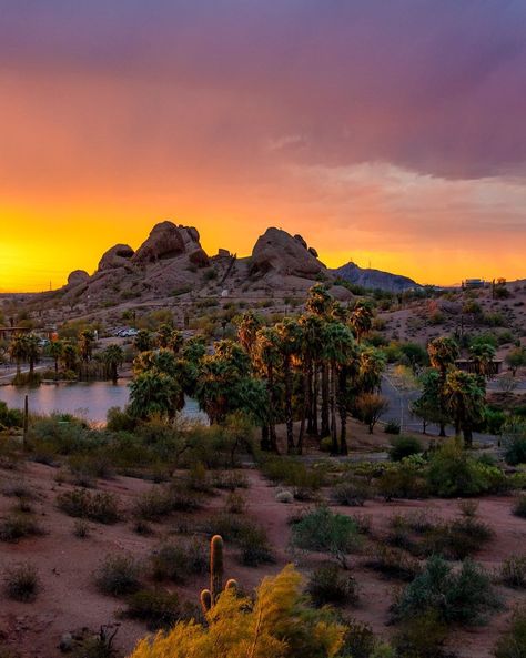 Phoenix Things To Do, Phoenix Attractions, Papago Park, Visit Arizona, Camelback Mountain, Desert Oasis, Beautiful Waterfalls, Beautiful Mountains, Plan Your Trip