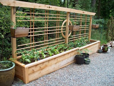 Beautiful yet functional privacy fence planter boxes ideas 44 Making Raised Garden Beds, Large Fairy Garden, Taman Diy, Raised Vegetable Gardens, Fence Planters, Vertical Vegetable Garden, Garden Vines, Garden Arbor, Container Gardening Vegetables