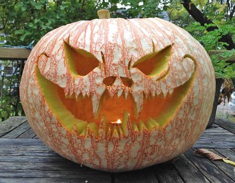 Cute Pumpkin Carving, Halloween Pumpkin Carving, Scary Halloween Pumpkins, Halloween Pumpkin Carving Stencils, Pumkin Carving, Creative Pumpkin Carving, Amazing Pumpkin Carving, Easy Pumpkin Carving, Scary Pumpkin Carving