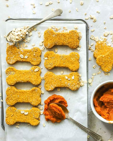 Oat Dog Treats, Oatmeal Dog Treats, Dog Treats Homemade Pumpkin, 3 Ingredient Dog Treats, Dog Cookie Recipes, Dogs Treats, Pumpkin Oats, Dog Treat Recipe, Dog Biscuit Recipes