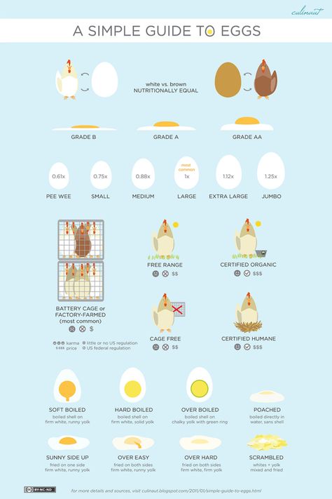 In this infographic you can find some really interesting facts about eggs.  - Ok, technically not fur, but the rules for this board was made by my cats Sig & Pele. Egg Styles, Food Charts, Cooking Guide, Food Info, Food Facts, Baking Tips, Egg Recipes, Food Hacks, Cooking Tips