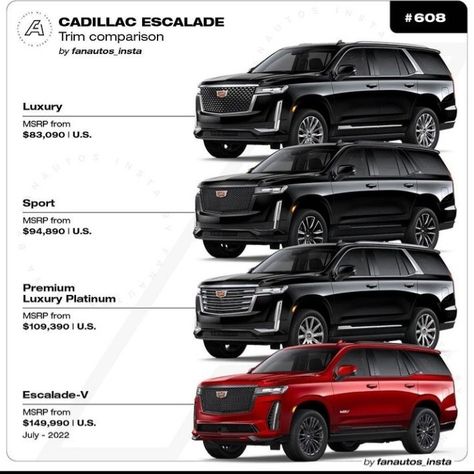 Suv Cars Luxury, Cadillac Suv, Luxury Suv Cars, Best Suv Cars, Miracle Workers, Tmax Yamaha, Car Brands Logos, Luxury Cars Range Rover, Luxury Van