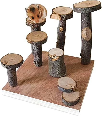 Amazon.com : Hamster Climbing Wooden Stand Platform, Pet Cage Playground Natural Wood Chew Toys for Dwarf Hamsters, Syrians Hamster, Gerbil, Mouse, Rat : Pet Supplies Kandang Hamster, Hamster Platform, Diy Hamster Toys, Rat Cage Accessories, Mouse Cage, Hamster Accessories, Hamster Diy, Hamster Care, Rat Cage