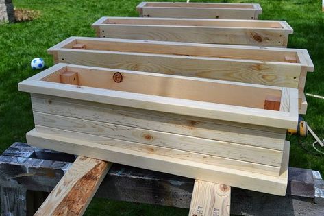 Flower Boxes For Railings, Window Box Planters, Wooden Flower Boxes, Box Planters, Window Boxes Diy, Window Box Garden, Window Box Flowers, Window Planters, Flowers Gardening