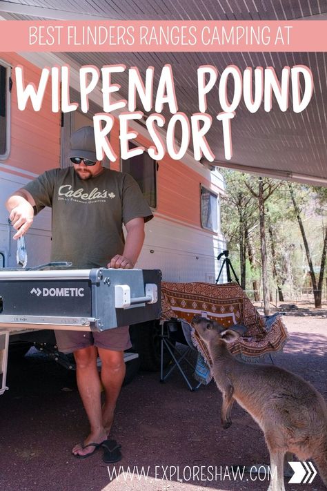 Wilpena Pound, Flinders Ranges, Caravan Camping, Australian Capital Territory, Kangaroo Island, Australian Travel, Safari Tent, Caravan Park, Free Camping